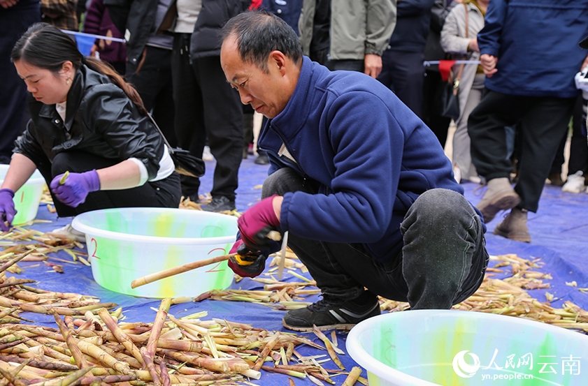 豊作を祝い「タケノコ皮むきコンテスト」開催　雲南省大関