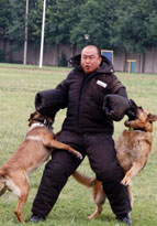 北京警察の警察犬訓練基地