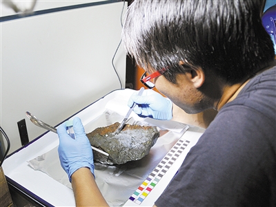 蛟竜号の集めた硫化物サンプルから微生物を抽出する科学隊員