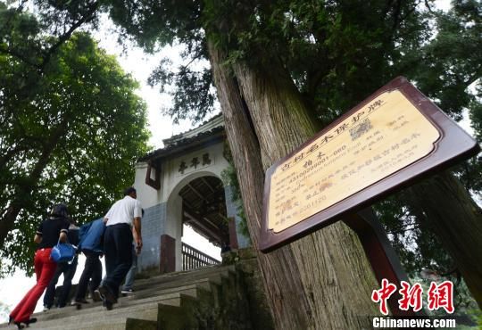 湖南省の歴史ある木、2次元コードの「オンライン身分証明証」を取得