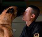退役の季節、涙のキスで警察犬と別れを告げる兵士
