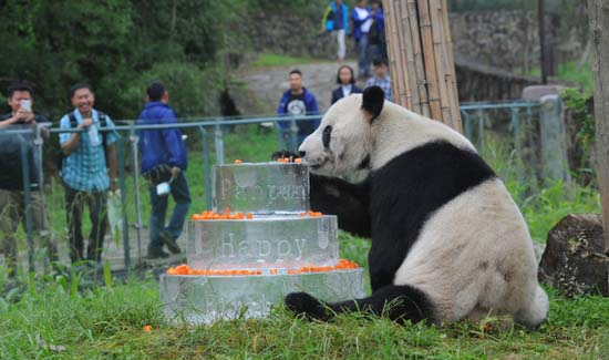 世界最高齢の雄パンダ「盼盼」、誕生日を祝う