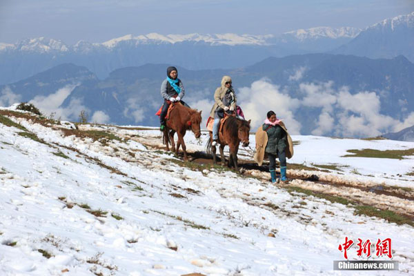 初雪に覆われる山、絵の如く美しい雪景色　雲南省