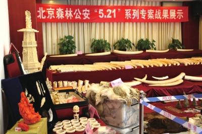 北京最大の象牙密輸事件を摘発、殆どが日本から流入