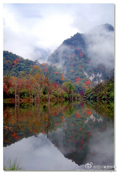 四川省の喇叭河自然保护区、幻想的な秋の风景
