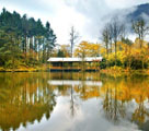 四川省の喇叭河自然保護区、幻想的な秋の風景に酔う