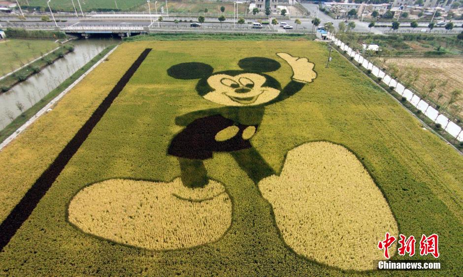 上海ディズニーランド近くの田んぼに巨大「ミッキー」が登場