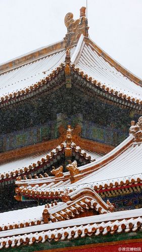 公式微博で公開された故宮の雪景色　ネット民「美は静けさの中にあり」