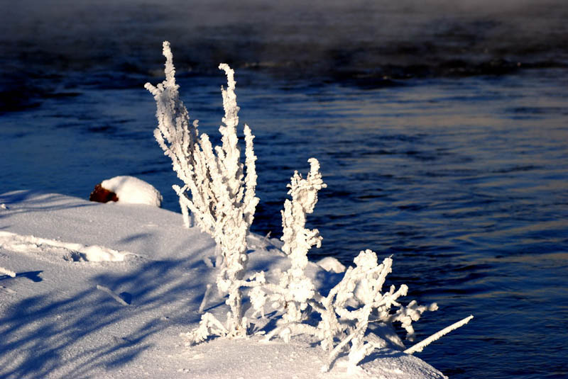 黒河の樹氷が見頃に　黒竜江省