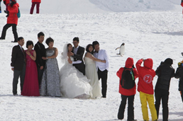 中国の富裕層の間で、南極観光がブーム