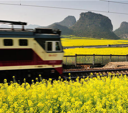 春を疾走する列車　雲南省