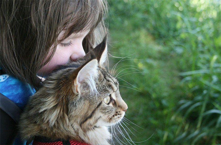6歳の自閉症少女とネコはいつも一緒の仲良し　英国