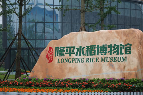 中国初の大型イネ博物館、試験営業を開始　湖南省