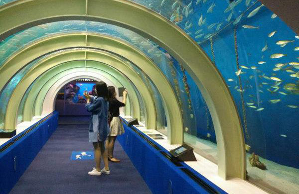 トンネル水槽で魚を観察する視察メンバー