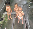 裸の冒険、3人の幼児が家からこっそり「脱走」　浙江省