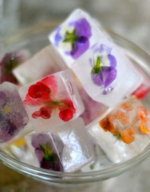 花や果物を氷の中に！夏にぴったりな涼しげレシピ