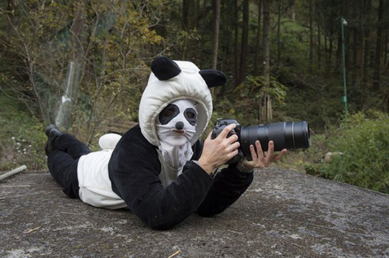 「パンダスーツ」を着込んで野生パンダを撮影するカメラマン