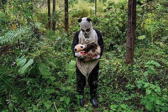 「パンダスーツ」を着込んで野生パンダを撮影するカメラマン
