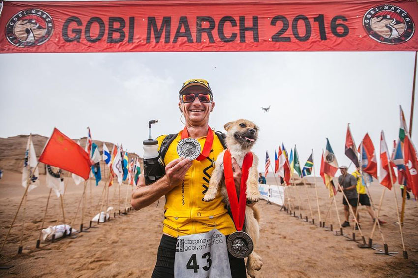 砂漠マラソンを共に走った野良犬　英国選手が探しに新疆へ