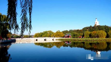 見れば見るほど美しい北京の秋空