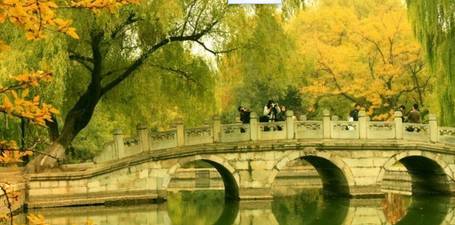 見れば見るほど美しい北京の秋空