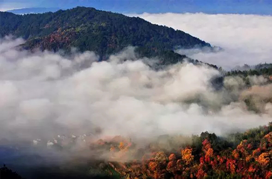 中国で最も美しい秋が見られる農村　江西省
