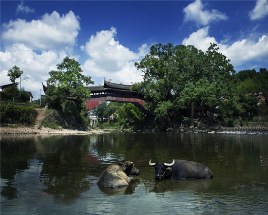 詩情あふれる山や川　うっとりするような美しい自然風景 浙江省温州