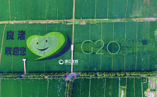 杭州で最も芸術的な田んぼ　笑顔のキャラクターがお出迎え