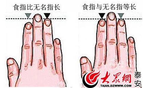 人差し指と薬指の長さでわかる色々なこと