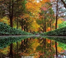 秋色に染まる「最も美しい600メートルの小道」　南京