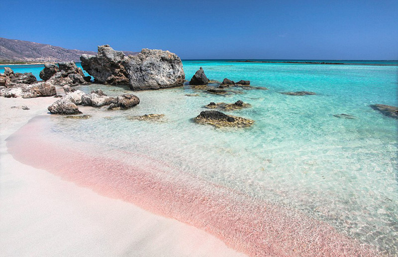 バハマの幻想的なピンク色のビーチ 人民網日本語版 人民日報
