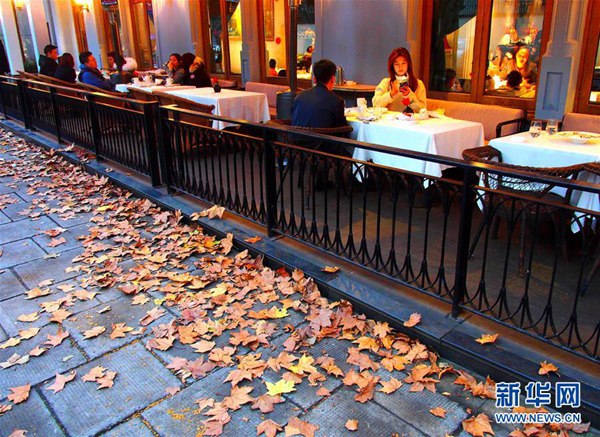 上海　落ち葉でおしゃれな街並みに　「落ち葉のある景観づくり」実施