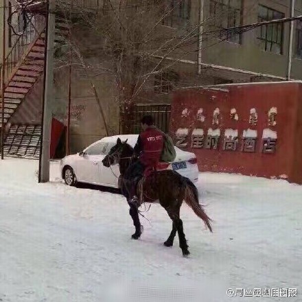 大雪の内モンゴル、馬の宅急便が話題