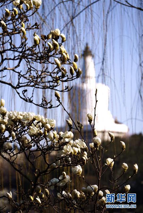 暖かな春の陽だまり　花見・アウトドアシーズン到来　北京