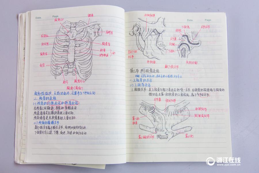 印刷のような文字に精密な手描きイラスト、驚きの解剖学ノートが話題に