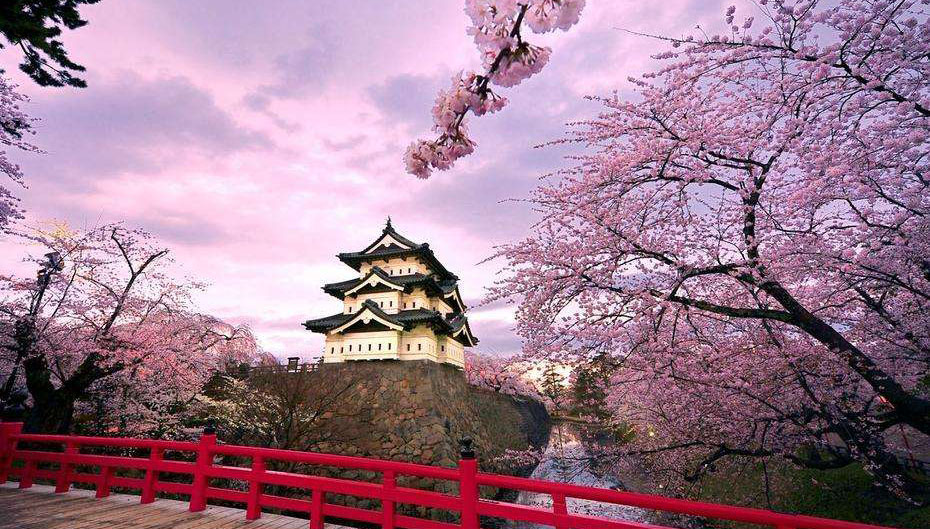 清明節の3連休　花見に日本が人気