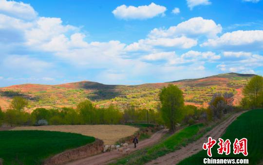 初夏の黄土高原に広がる美しい田園風景　甘粛省