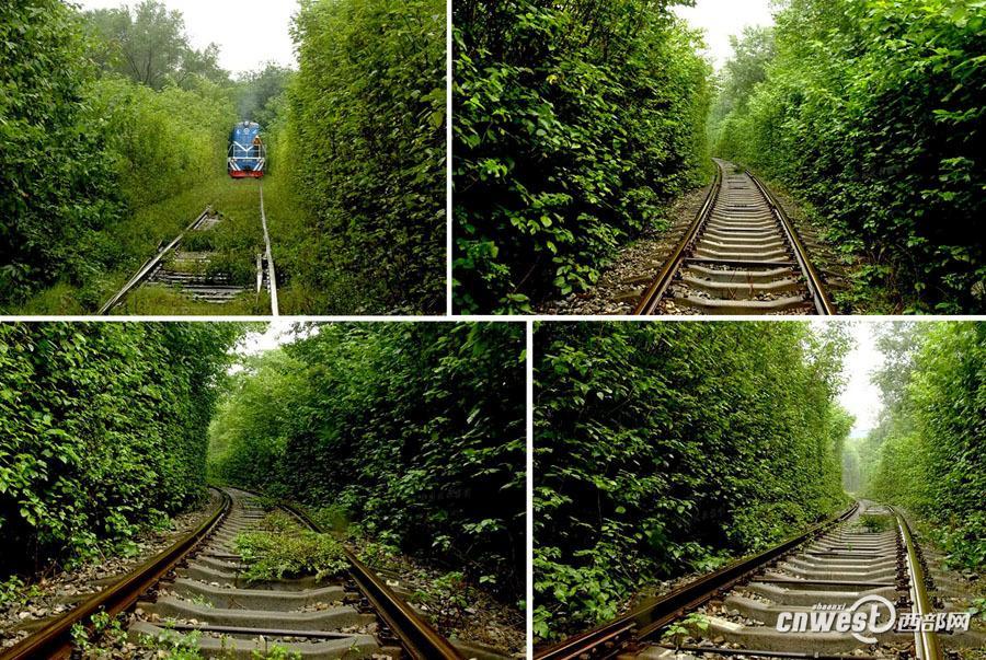 「緑あふれる爽やかな」鉄道、現在は草木に覆われ見る影もなし　西安