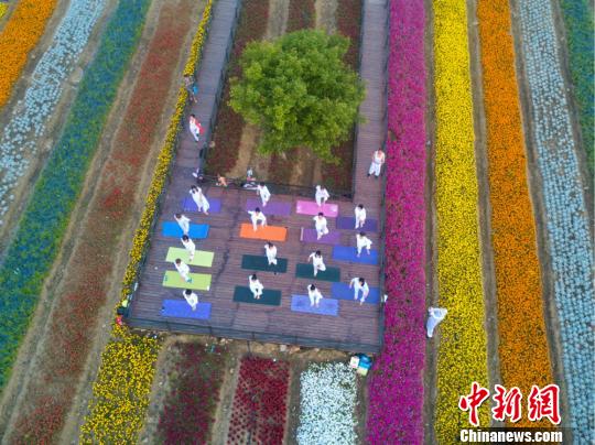 虹色の花畑で国際ヨガフェスティバルに備え、練習する愛好者たち