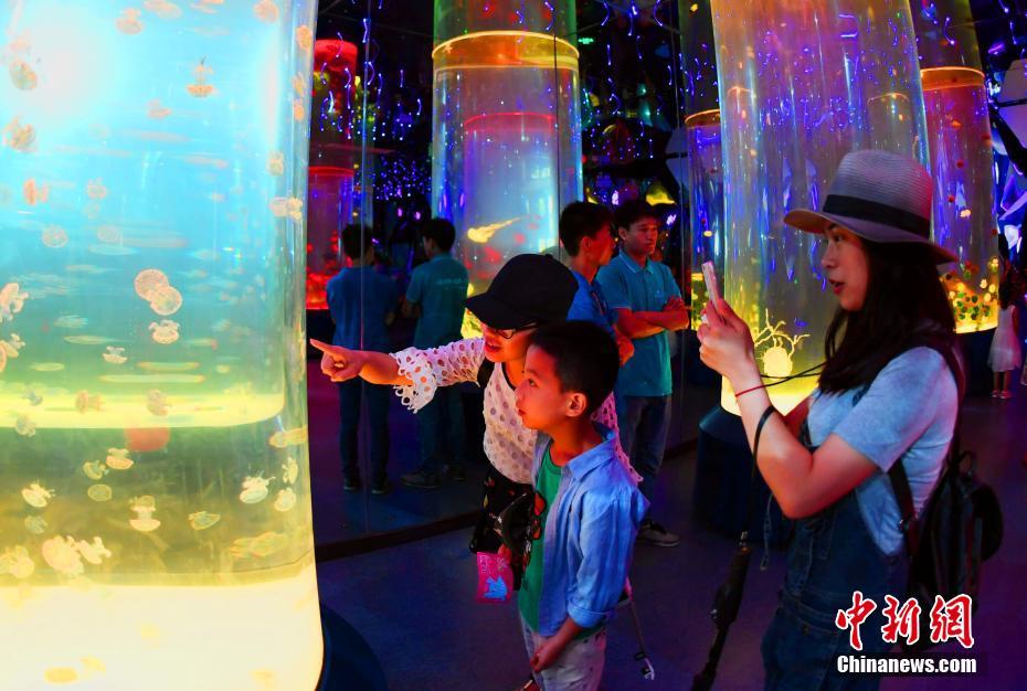 中国最大規模のクラゲ水族館登場 成都市 