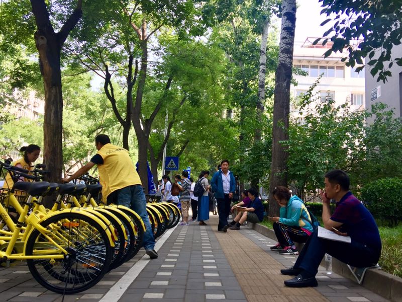 シェア自転車「ofo」メッセージカードで受験生を応援