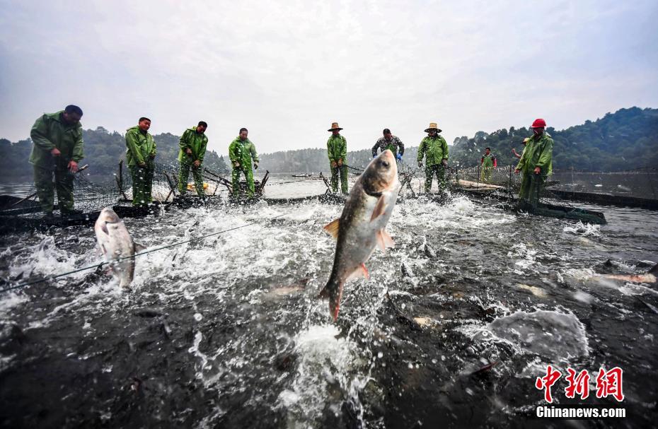 休漁期間が終わり、漁へ出かける漁師たち　江西省仙女湖