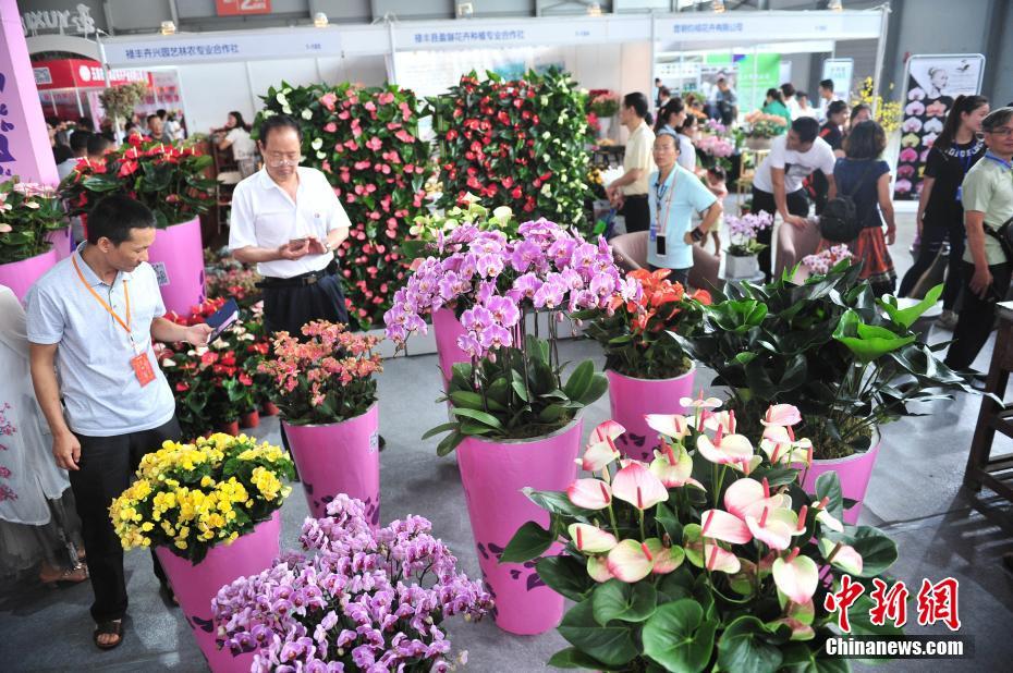 昆明国際花卉展が開催　雲南省