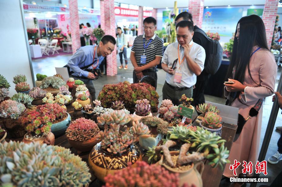 昆明国際花卉展が開催　雲南省