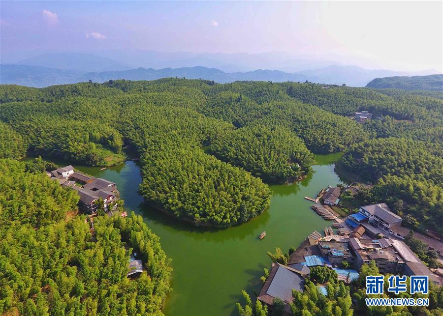 「蜀南竹海」の涼やかな夏の風景　四川省