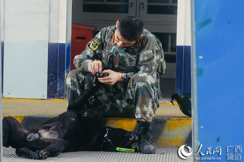 中国とベトナムの国境で活躍する麻薬探知犬