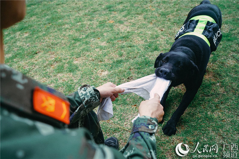 中国とベトナムの国境で活躍する麻薬探知犬