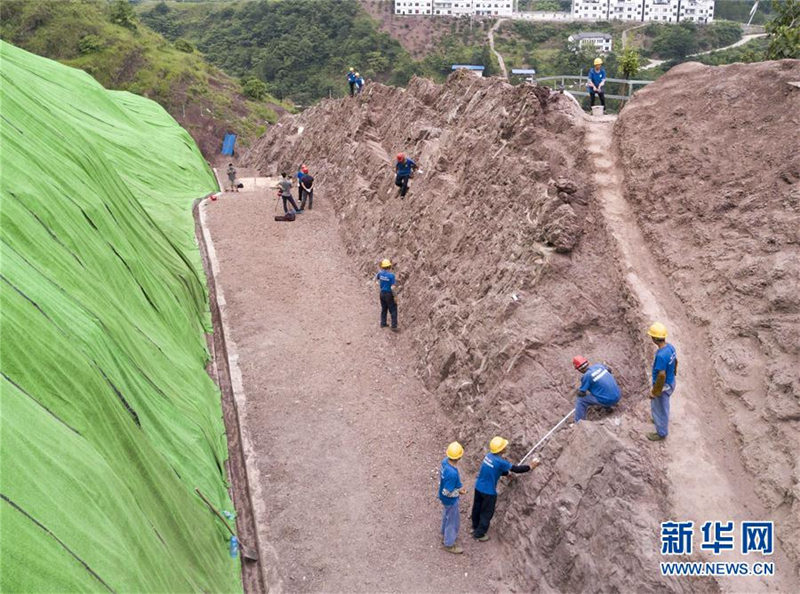 重慶市雲陽県で世界クラスの恐竜化石群発見