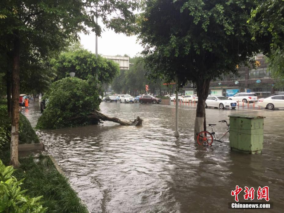 継続的な豪雨で一部冠水や樹木が倒れる被害　四川省綿陽市