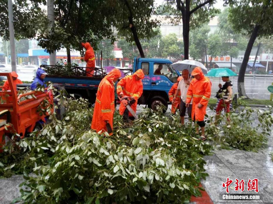 継続的な豪雨で一部冠水や樹木が倒れる被害　四川省綿陽市